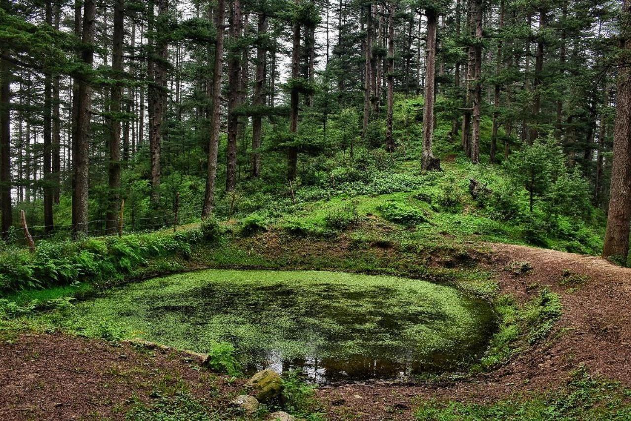 Ishan Log Huts-A Boutique Home Stay Banjār Exteriör bild